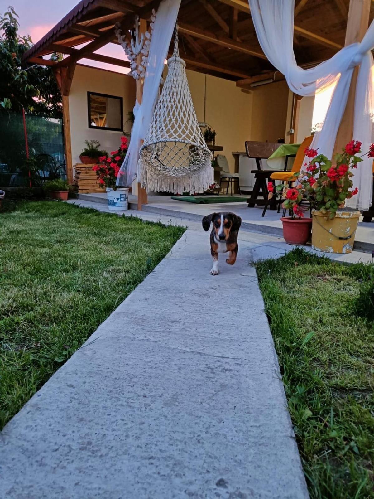 Casa Enka Otel Tuzla Dış mekan fotoğraf