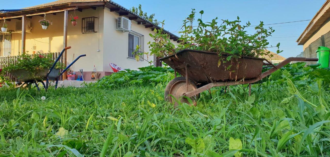 Casa Enka Otel Tuzla Dış mekan fotoğraf